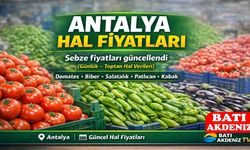 Antalya Hal Fiyatları: Domates, Biber, Sebze Fiyatları