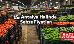 Antalya Halinde Sebze Fiyatları