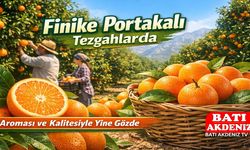 Finike Portakalı Tezgâhlarda