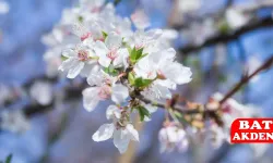 Baharın Müjdesi: İkinci Cemre Suya Düştü