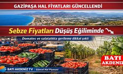 Gazipaşa Hal Fiyatları Güncellendi: Sebze fiyatları düşüş eğiliminde
