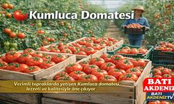 Kumluca Domatesi Sofraların Vazgeçilmezi Olmayı Sürdürüyor