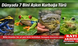 Dünyada 7 Bini Aşkın Kurbağa Türü Bulunuyor