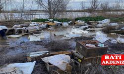 Gediz Nehri Taştı, Salihli’de 103 Arı Kovanı Telef Oldu