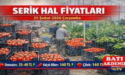 Serik Hal Fiyatları 25 Şubat 2026 Çarşamba
