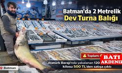 2 Metrelik Dev Turna Balığı Tezgâhta: Fiyatı Dudak Uçuklattı