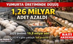 Yumurta Üretiminde Düşüş: 1,26 Milyar Adetlik Azalma