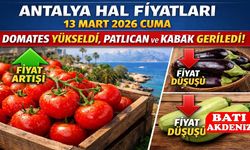 Antalya Hal Fiyatları 13 Mart 2026 Cuma: Domates Yükseldi, Patlıcan ve Kabak Geriledi