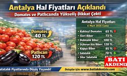 Antalya Hal Fiyatları Açıklandı: Domates ve Patlıcanda Yükseliş Dikkat Çekti