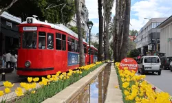 Antalya lalelerle görsel şölene dönüştü