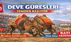 Deve Güreşleri Yeniden Başlıyor: İlk Güreş İncirliova’da, Final Umurlu’da