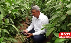 Kumluca Ziraat Odası Başkanı Hidayet Kökce: Patlıcan Fiyatlarındaki Dalgalanma Üreticiyi Zorluyor