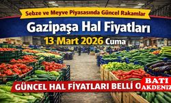 Gazipaşa Hal Fiyatları 13 Mart 2026 Cuma: Sebze ve Meyve Piyasasında Güncel Rakamlar