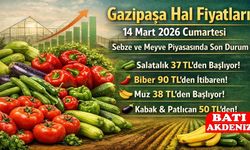 Gazipaşa Hal Fiyatları 14 Mart 2026 Cumartesi: Sebze ve Meyve Piyasasında Son Durum