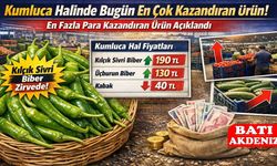 Kumluca Halinde Bugünün Kazandıranı Belli Oldu! En Çok Para Getiren Ürün Açıklandı