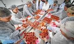 Mersinli kadınlar kan portakalını geleceğe taşıyor