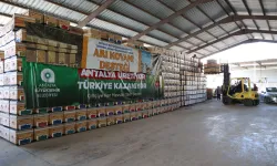 Antalya Büyükşehir'den arıcılara kovan desteği