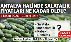 Antalya Halinde Salatalık Fiyatları Ne Kadar Oldu? 4 Nisan 2026 Güncel Liste