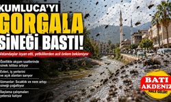 Kumluca’yı “Gorgala” Sineği Bastı! Vatandaş Tedirgin