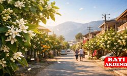 Kumluca’da Narenciye Çiçeği Kokusu Sokakları Sardı: Baharın En Güzel Habercisi