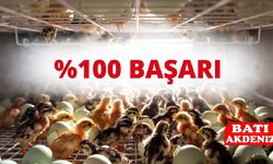 Nova Farm Kumluca’da Kuluçka Mucizesi: Bıldırcın Yumurtalarının Tamamı Yavru Oldu!