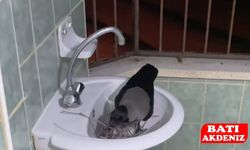 Ceksın ile İbrahim'in dostluğu sosyal medyanın gündeminde