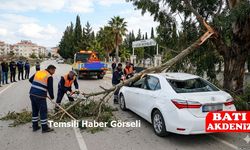 Kumluca Karşıyaka’da Kırılan Ağaç Dalı Aracın Üzerine Düştü!