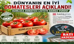 Dünyanın En İyi Domatesleri Açıklandı: Kumluca Domatesi Listeye Damga Vurdu!