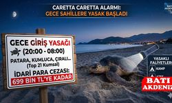 Akdeniz'de Caretta Caretta Alarmı: 21 Kumsala Giriş Yasaklandı! Cezası Dudak Uçuklatıyor