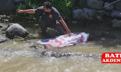 Pikniğe gitti ama sağ olarak geri dönemedi