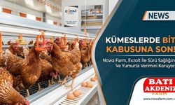 Bit Yaşam Döngüsünü Kıran Teknoloji: Exzolt Bit Ilacı Şimdi Nowa Farm’da