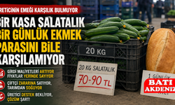 Bir Kasa Salatalık Bir Günlük Ekmek Parasını Bile Karşılamıyor
