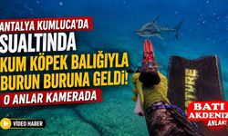 Antalya Kumluca'da Sualtında Kum Köpek Balığıyla Burun Buruna Geldi! O Anlar Kamerada