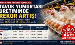 Tavuk Yumurtası Üretiminde Rekor Artış: Nisan 2026'da Üretim Yüzde 18,9 Yükseldi