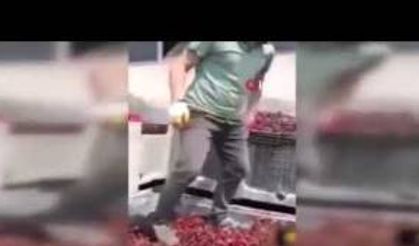Meyve suyu tesisinde mide bulandıran görüntüler
