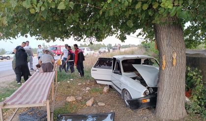 Osmaniye'de ağaca çarpan otomobildeki 3 kişi yaralandı