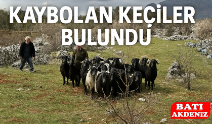 Kaybolan Keçileri jandarma Buldu