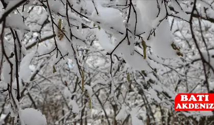 Antalya için 'Zirai Don' uyarısı