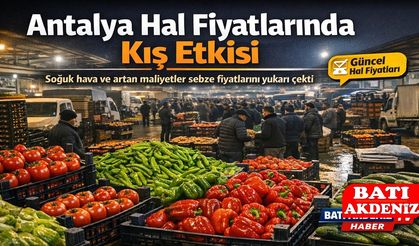 Antalya Hal Fiyatlarında Kış Etkisi: Sebze üretimi düştü Fiyatlar yükselişte