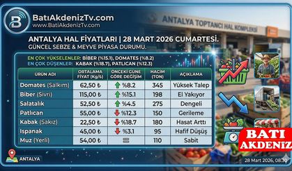 Antalya Hal Fiyatları