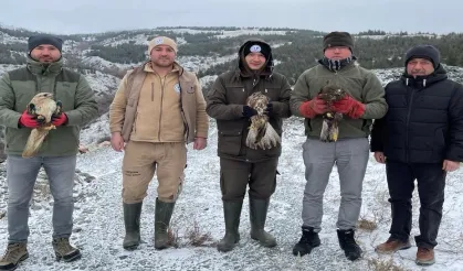 Eskişehir'de tedavi edilen yırtıcı kuşlar doğaya salındı