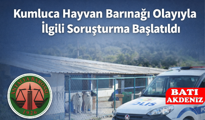 Kumluca Hayvan Barınağı Olayıyla İlgili Soruşturma Başlatıldı