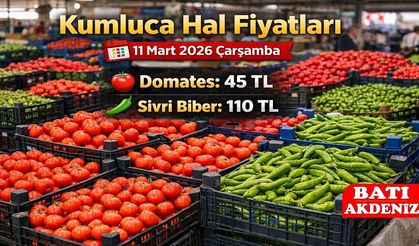 Kumluca Hal Fiyatları 11 Mart 2026 Çarşamba: Domates 45 TL, Sivri Biber 110 TL
