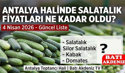 Antalya Hal Fiyatları
