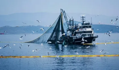 Denizlerde av yasağı 15 Nisan'da başlıyor