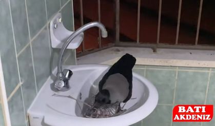 Ceksın ile İbrahim'in dostluğu sosyal medyanın gündeminde