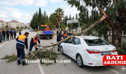 Kumluca Karşıyaka’da Kırılan Ağaç Dalı Aracın Üzerine Düştü!