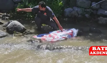 Pikniğe gitti ama sağ olarak geri dönemedi