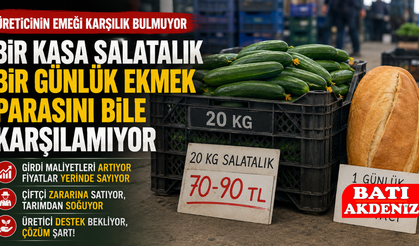 Bir Kasa Salatalık Bir Günlük Ekmek Parasını Bile Karşılamıyor