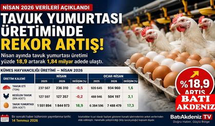 Tavuk Yumurtası Üretiminde Rekor Artış: Nisan 2026'da Üretim Yüzde 18,9 Yükseldi